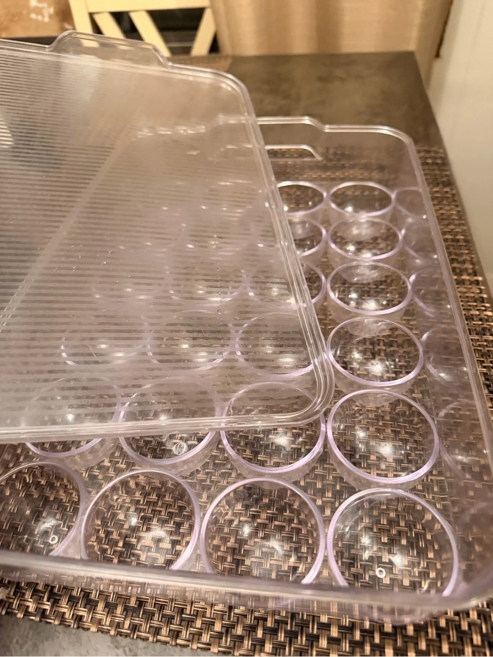 Clear Plastic 24-Cup Mold Tray